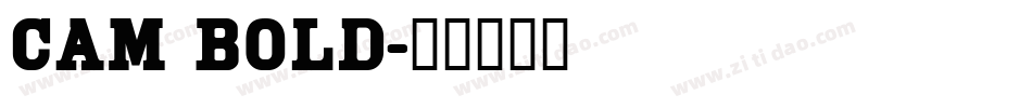 Cam Bold字体转换